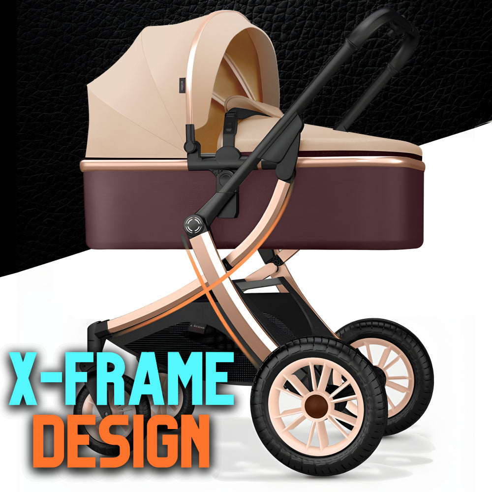 Deluxe 2-in-1 Baby Stroller