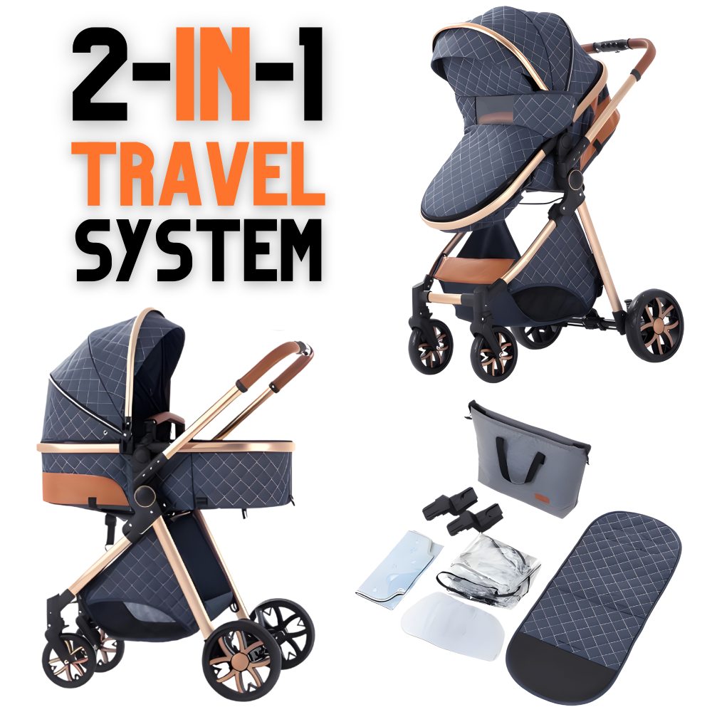 Luxury 2-in-1 Baby Stroller
