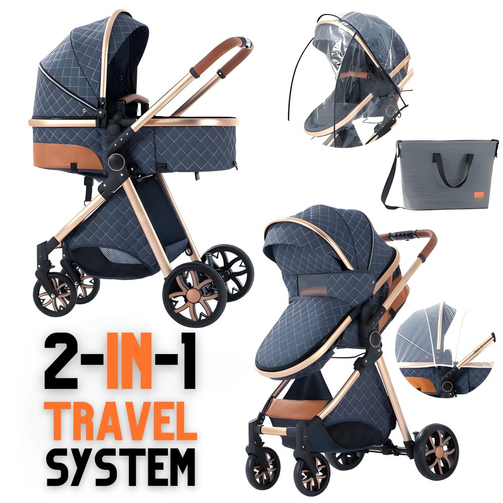 Luxury 2-in-1 Baby Stroller