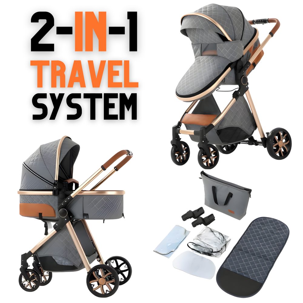 Luxury 2-in-1 Baby Stroller