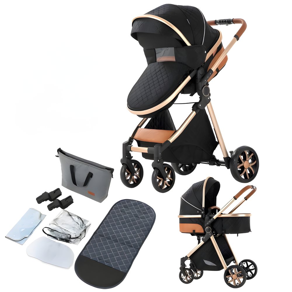 Luxury 2-in-1 Baby Stroller