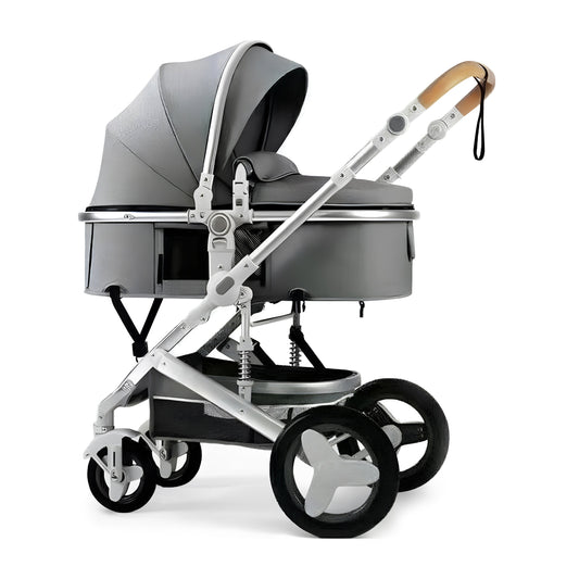 Premium (Special Edition) 2-in-1 Baby Stroller