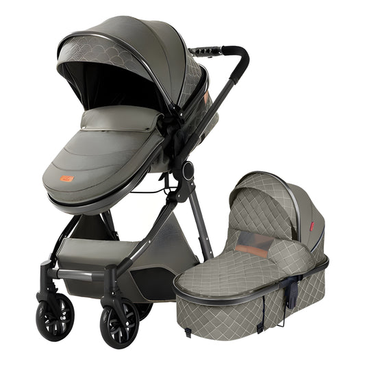 Luxury 2-in-1 Baby Stroller