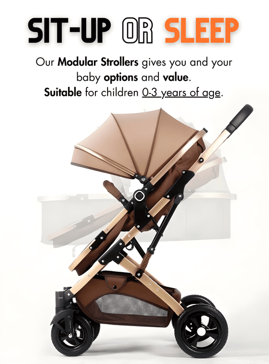 Premium Twin Baby Stroller