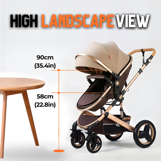 Premium (Special Edition) 2-in-1 Baby Stroller
