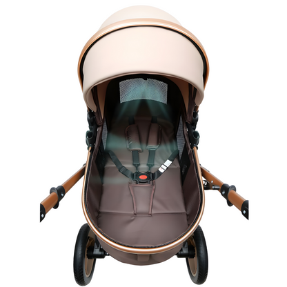 Premium (Special Edition) 2-in-1 Baby Stroller