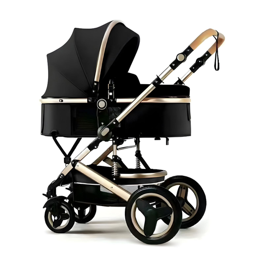 Premium (Special Edition) 2-in-1 Baby Stroller
